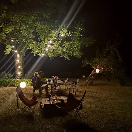 Domaine De La Celarie Mouzieys-Teulet Exteriér fotografie